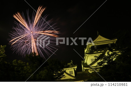 岡崎城と一輪の花火 114210981