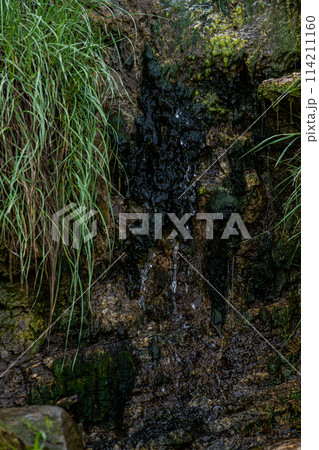 Stream in the mountain 114211160