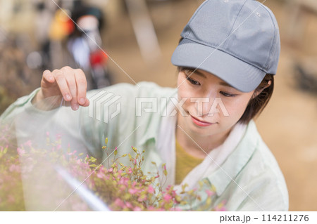 花農家で働く女性 花農家で働く女性 114211276
