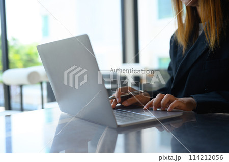 Businesswoman hands entering the PIN code on her laptop. Cyber security concept Businesswoman hands entering the PIN code on her laptop. Cyber security concept 114212056