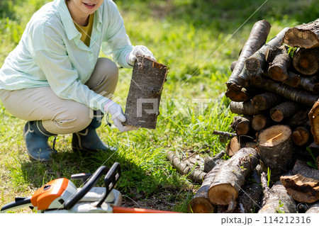 薪を切る女性 薪を切る女性 114212316