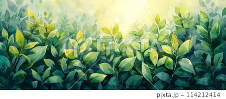 Banner with green leaves on blue watercolor backgr Banner with green leaves on blue watercolor backgr 114212414