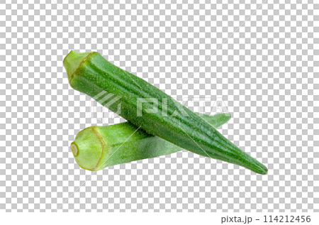 raw okra isolated raw okra isolated 114212456
