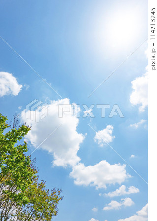 初夏の青空と木立 初夏の青空と木立 114213245