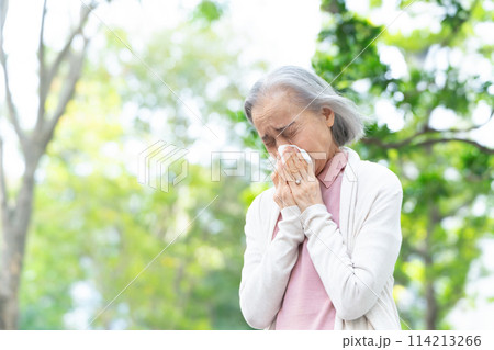 鼻をかむシニア女性　アレルギー　花粉症 114213266