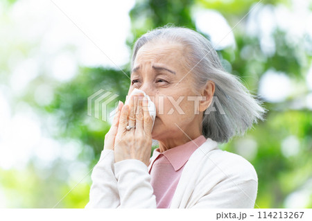 鼻をかむシニア女性　アレルギー　花粉症 114213267