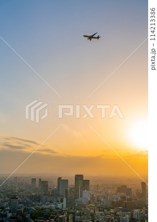 【東京都】夕暮れに染まる大都市 渋谷上空を飛ぶ飛行機 114213386