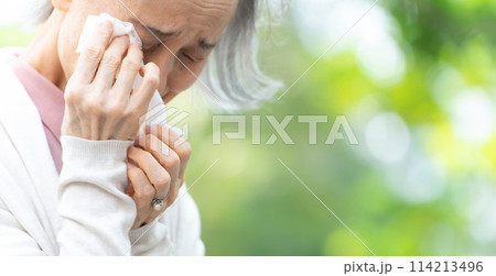 目が痒い女性　アレルギー 　花粉 114213496