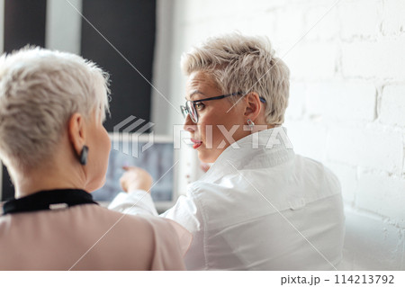 rear view of mature businesswomen working with laptop in office rear view of mature businesswomen working with laptop in office 114213792