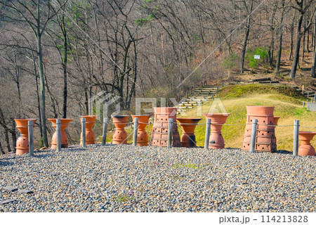 森将軍塚古墳の埴輪【千曲市】 114213828