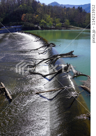 青山ダムの洪水吐き 114213912