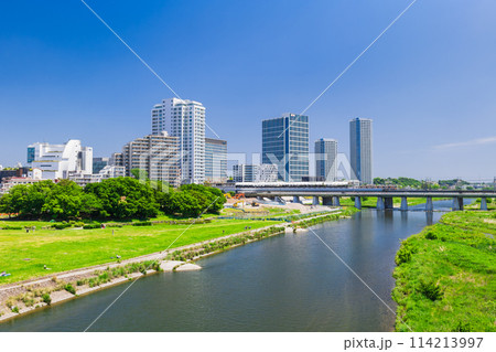 東京 二子玉川の高層ビルと多摩川 春景 東京 二子玉川の高層ビルと多摩川 春景 114213997