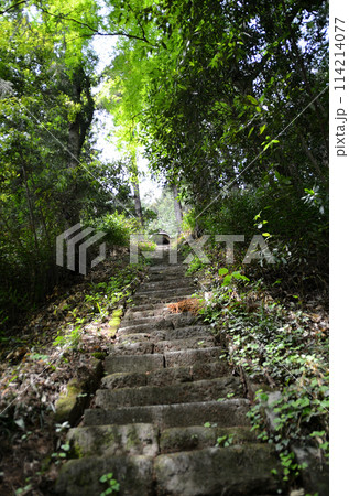 埼玉県秩父郡皆野町金沢 天満天神宮の参道 埼玉県秩父郡皆野町金沢 天満天神宮の参道 114214077