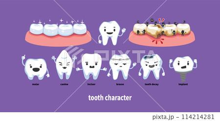 Various tooth characters. Appearance of healthy teeth and sick teeth. 114214281