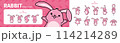 Set of cute rabbit character illustrations. Character turnaround and 10 moves. 114214289