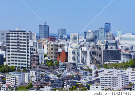 青葉城址より新緑の仙台市全景 青葉城址より新緑の仙台市全景 114214413