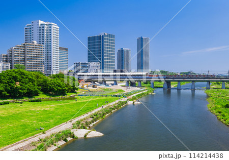 東京　二子玉川の高層ビルと多摩川　春景 114214438