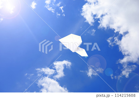 大空を飛ぶ紙飛行機 大空を飛ぶ紙飛行機 114215608