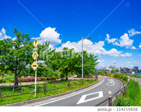 五月晴れ中川堤 五月晴れ中川堤 114215638
