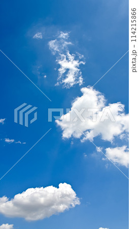 空素材(縦構図) 空素材(縦構図) 114215866