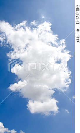 空素材(縦構図) 空素材(縦構図) 114215867