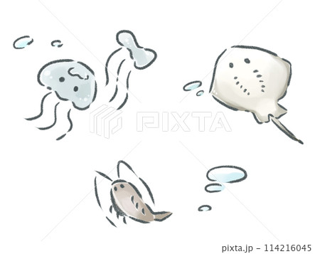 かわいい海の生き物たち かわいい海の生き物たち 114216045