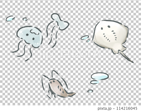 かわいい海の生き物たち かわいい海の生き物たち 114216045