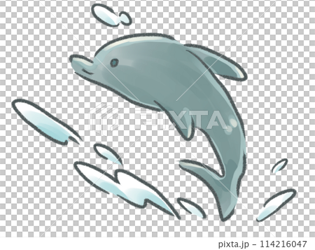 Dolphins to jump 114216047