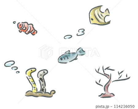 ちいさなかわいい海の生き物 114216050