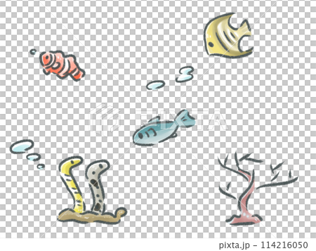 ちいさなかわいい海の生き物 114216050