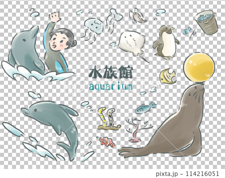 Various aquarium illustration set 114216051
