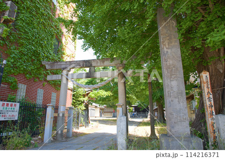 八雲神社 足利市 八雲神社 足利市 114216371