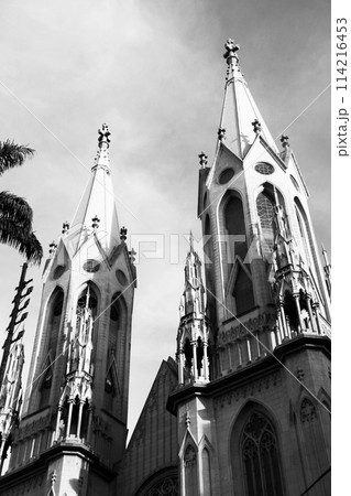 サンパウロ市にあるセー大聖堂 ブラジル サンパウロ市にあるセー大聖堂 ブラジル 114216453