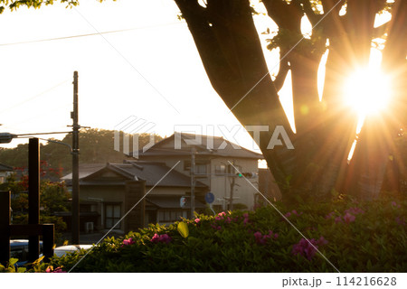 太陽が眩しい夕方 114216628