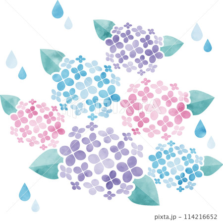 水彩の紫陽花イラスト 114216652