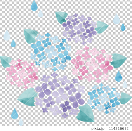 Watercolor hydrangea illustration 114216652