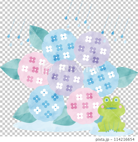 水彩の紫陽花イラスト 水彩の紫陽花イラスト 114216654