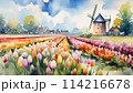 【商業利用可】オランダのチューリップ畑の水彩画 114216678
