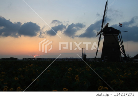 風車のある風景　【千葉県佐倉市佐倉ふるさと広場にて】 114217273