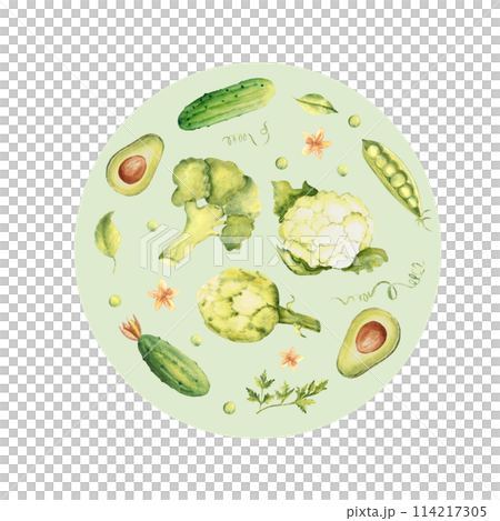 Green vegetables set in a circle. Cucumber, avocado and parsley plant. Broccoli, cauliflower and artichoke. Hand drawn watercolor illustration in vintage style. For cards, posters and logo or emblem. 114217305