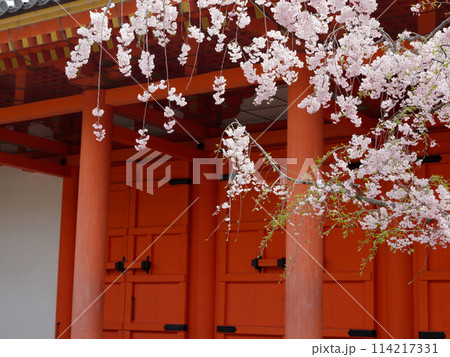 国宝蓮華王院　三十三間堂 114217331