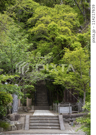 鎌倉244 法華堂跡1 鎌倉244 法華堂跡1 114217639
