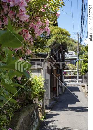 鎌倉244 坂の下2 路地 鎌倉244 坂の下2 路地 114217701