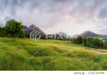 Meadow with road and bench in Berchtesgaden National Park 114218399