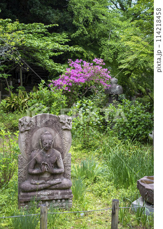 鎌倉244 安国論寺14 つつじ 鎌倉244 安国論寺14 つつじ 114218458