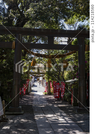 鎌倉244 八雲神社5 鎌倉244 八雲神社5 114218560
