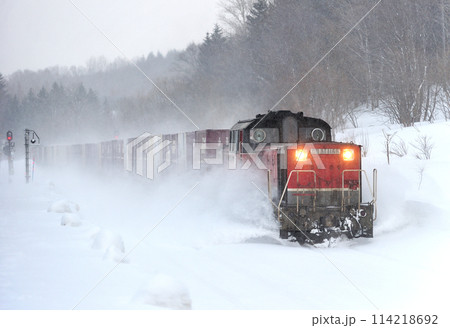 石北本線 奥白滝 JR貨物 DD51-1166(鷲別)+コキ+DD51-1073 石北本線 奥白滝 JR貨物 DD51-1166(鷲別)+コキ+DD51-1073 114218692