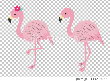 可愛的火烈鳥插圖 114219057