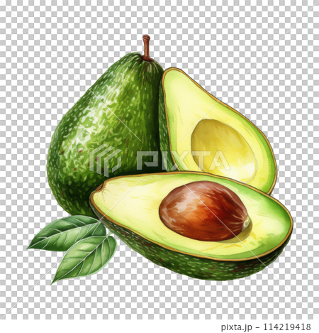 Watercolor Painting of Fresh Avocados Watercolor Painting of Fresh Avocados 114219418