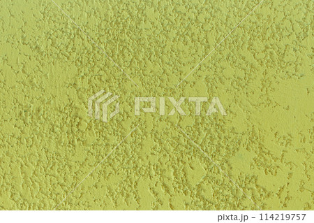 Light green salad color texture plaster wall rough stucco background solid abstract pattern 114219757